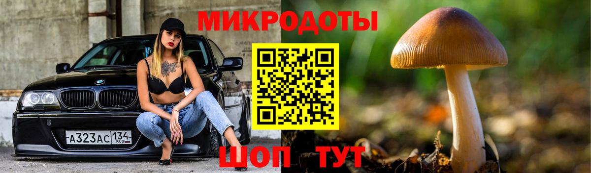 Будённовск  Псилоцибиновые грибы ЛСД  Галлюциногенные грибы Psilocybe  как найти   Вход с VPN 
